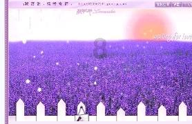 海口年货销售逐步走俏 市民纷纷选购尽显“迎春热”