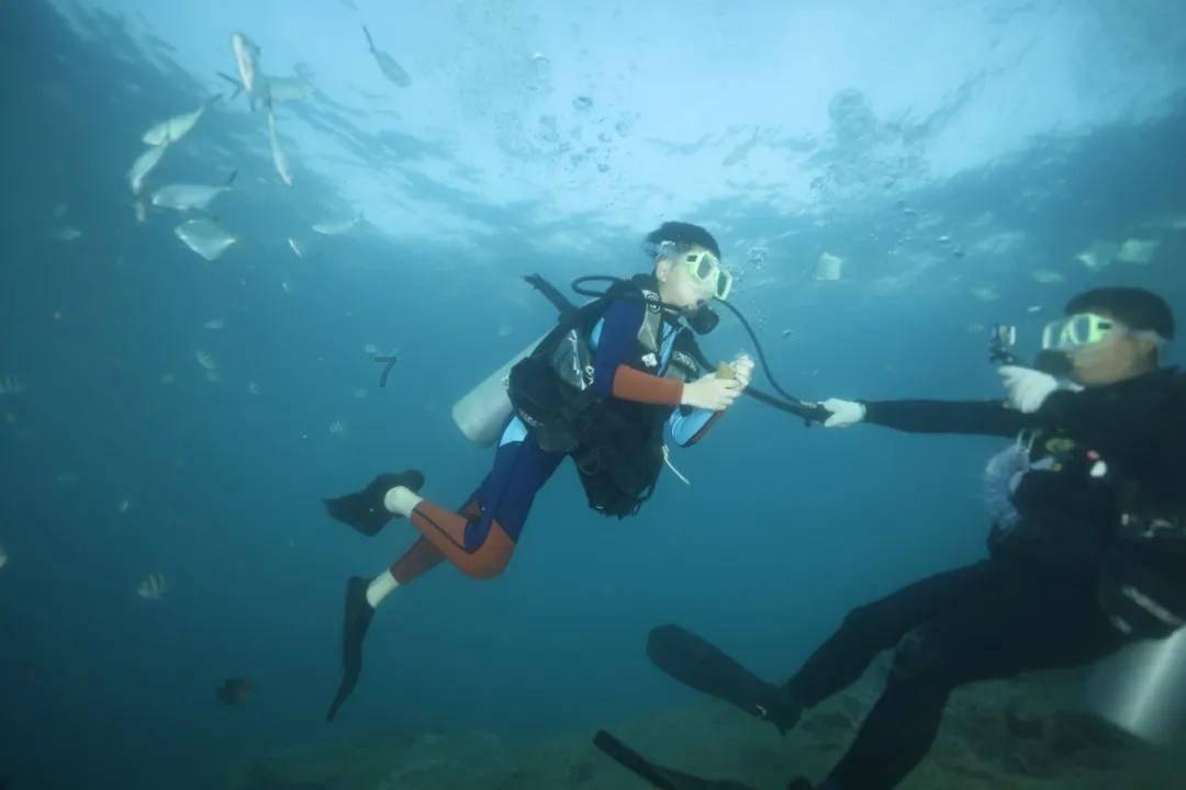 拯救巧虎3