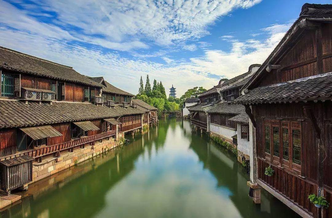 成绩亮眼举措务实前景美好 着力发挥优势打头阵作表率